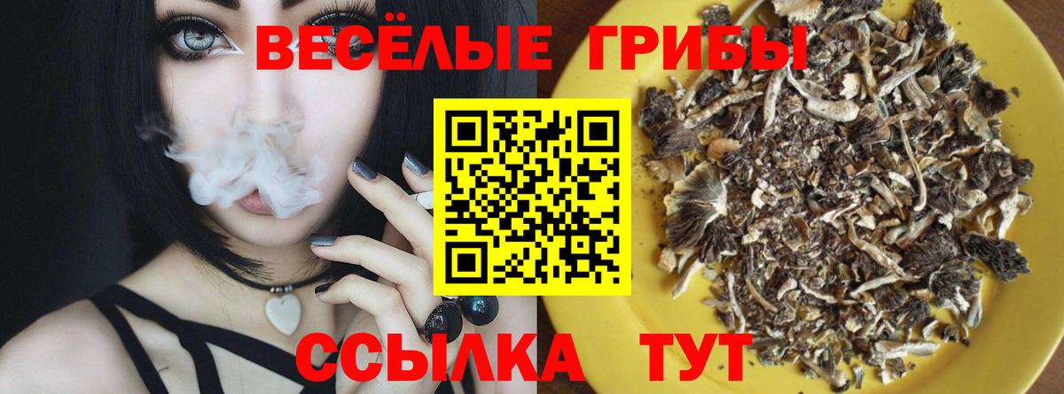 Галлюциногенные грибы GOLDEN TEACHER  Псилоцибиновые грибы ЛСД  Ессентуки  Вход с VPN 