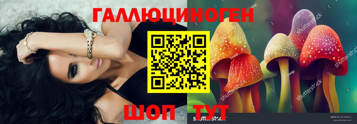 Галлюциногенные грибы мухоморы Ессентуки